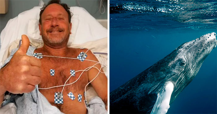Here Are The 30 Best Answers To Questions That People Asked A Man Who Survived Being Trapped In A Humpback Whale’s Mouth