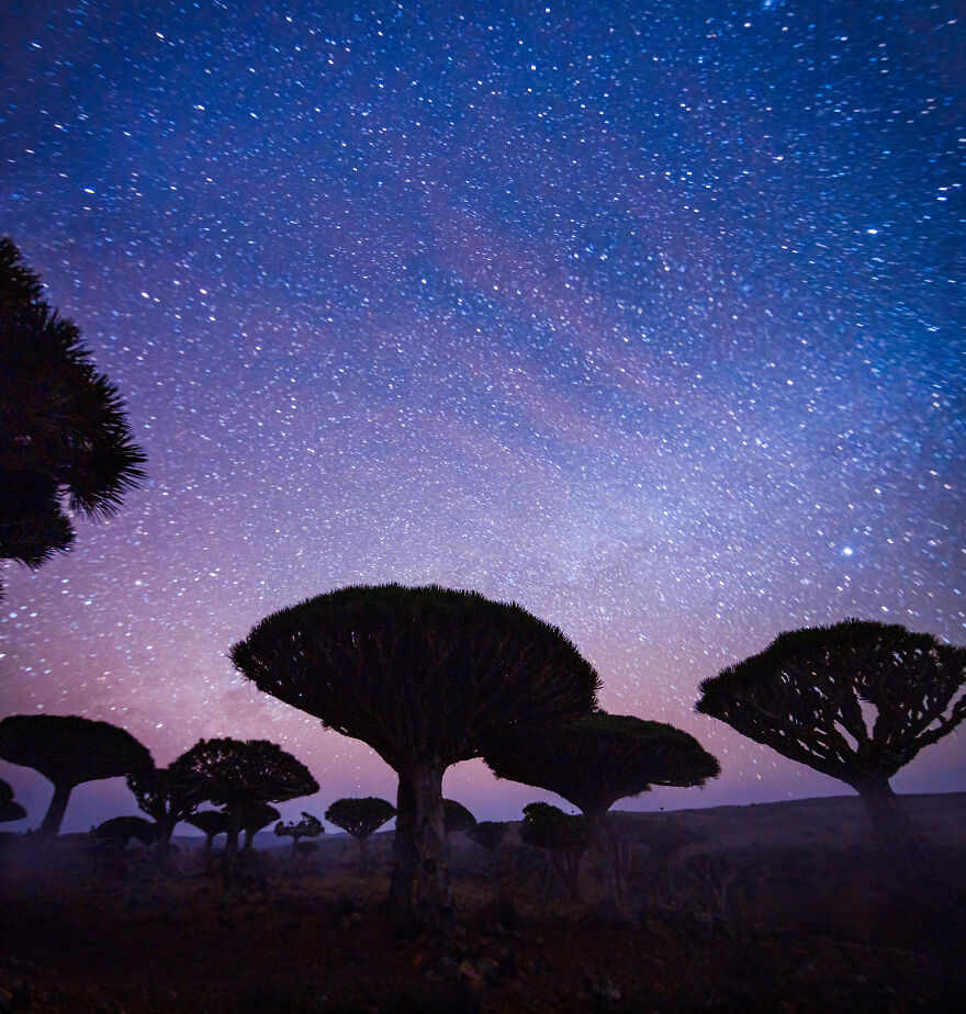 Travel-Photography-Unique-Socotra-Island-Yemen-Unique-Kristina-Makeeva