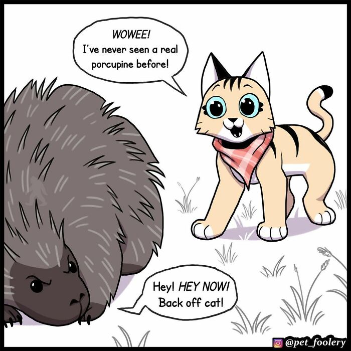 9 New Hilariously Adorable Comics About Brutus And Pixie To Instantly Make Your Day