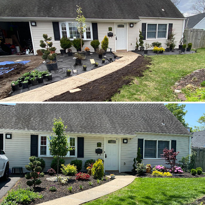 Before And After. Quarantine Landscaping. Landscaper Wanted $6500 To Do This. Done Under $1000 Grand Total