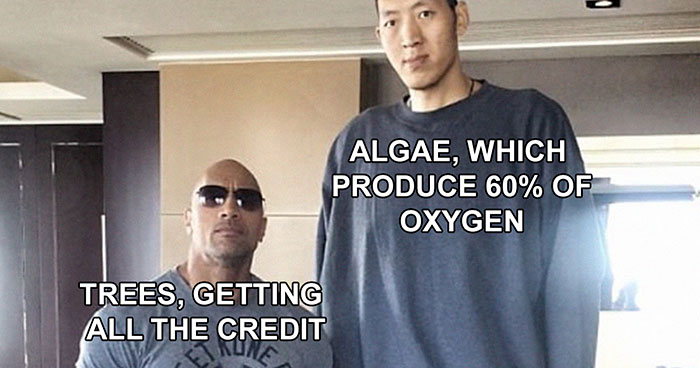 50 Of The Most Clever Science Memes That Perfectly Blend Humor With Knowledge