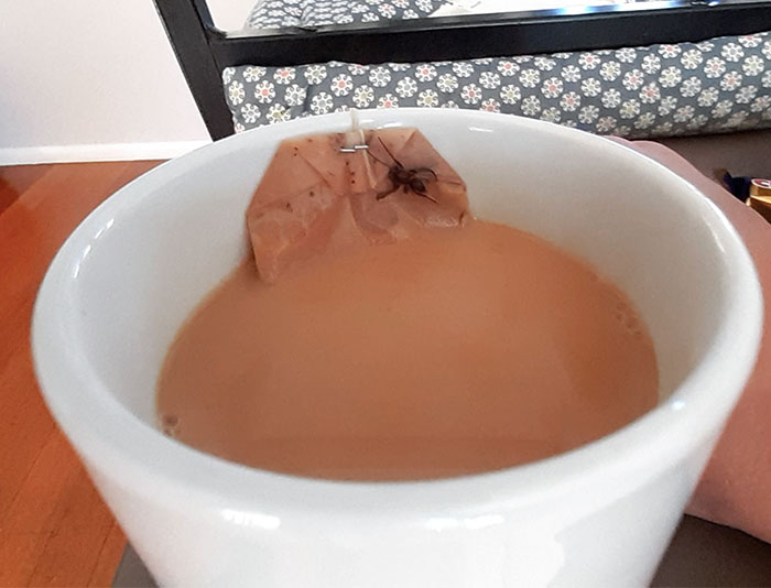 There's A Spider In My Tea