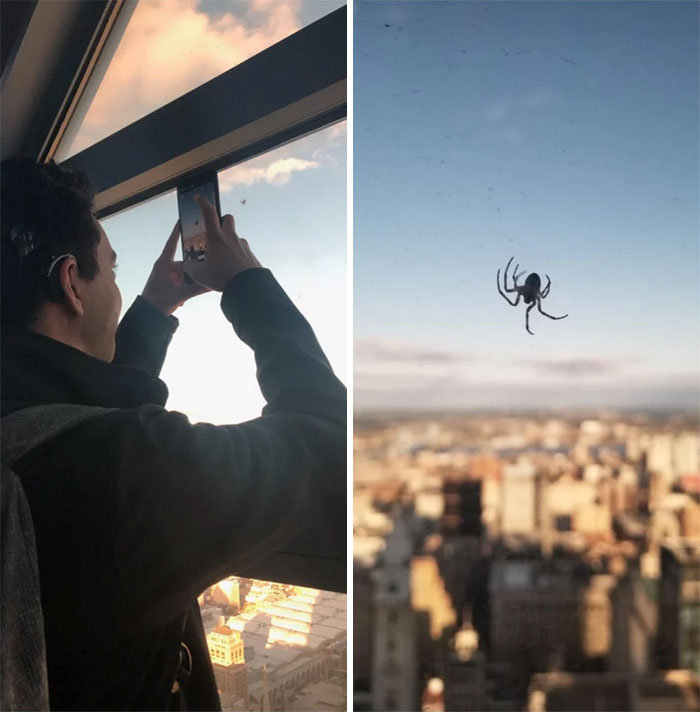 This Spider Was Somehow Dangling Outside Of A 70-Story Building