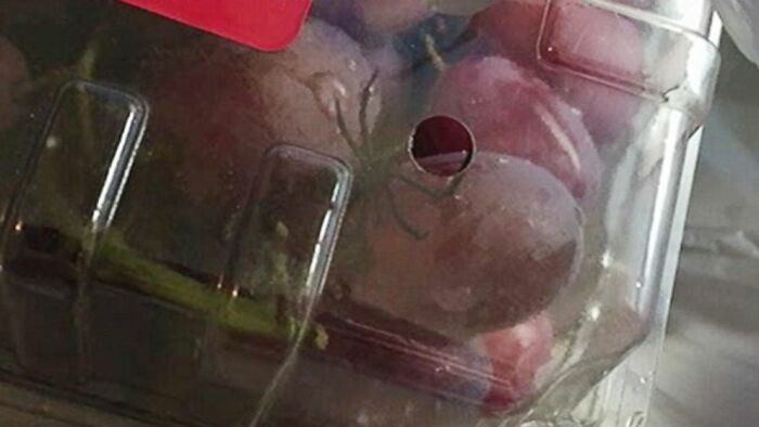Una mujer encuentra una araña viuda negra en una bolsa de uvas del Walmart