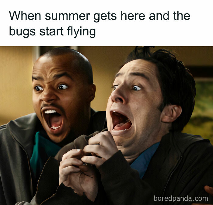 Jokes-To-Start-Off-Summer