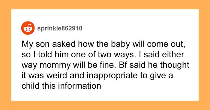 Mom Tells The Truth To Her 4.5-Year-Old Son About How Babies Are Born, Gets Called Out By Her Boyfriend