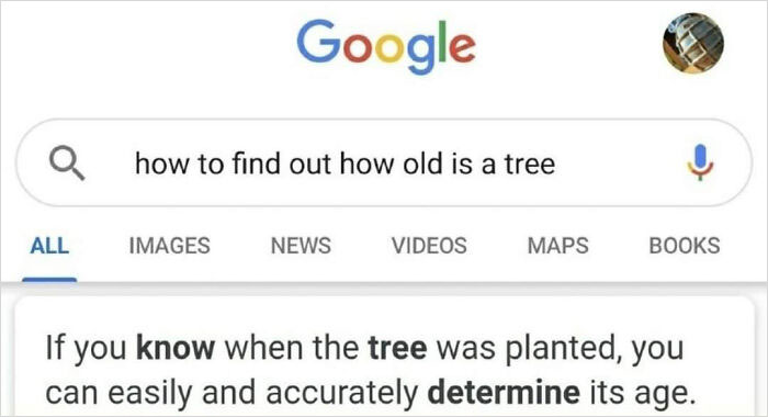 How Old Is A Tree