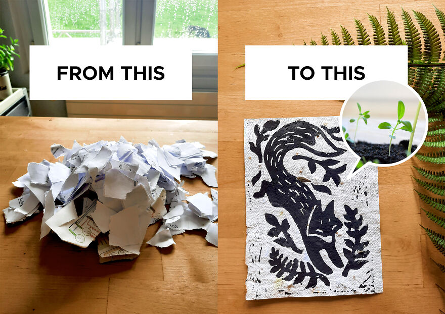 I Turn Old Paper Scraps Into Art That Grows When Planted In Soil