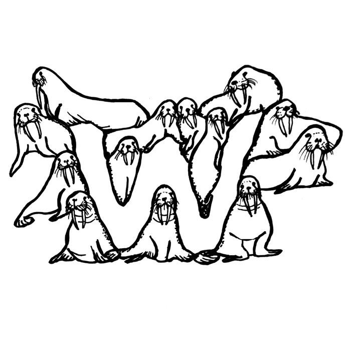 W For Walrus