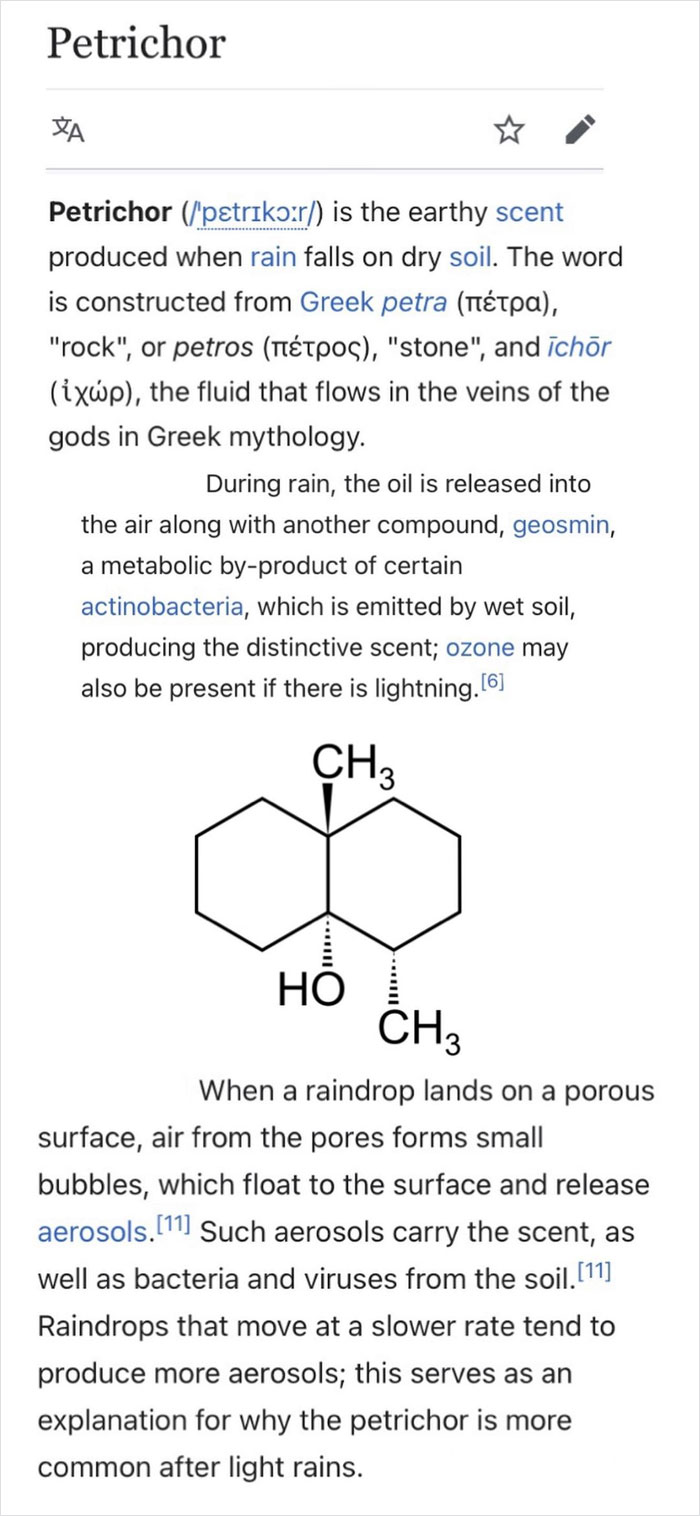 The Smell Of Rain Has A Name, And It’s Caused By A Substance In The Dirt Named Geosmin Which Is Released When Raindrops Hit The Ground