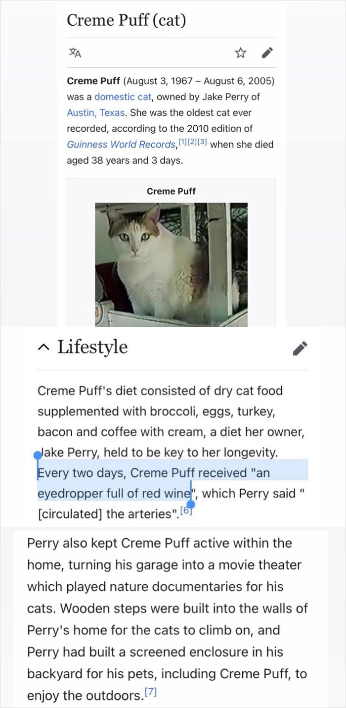 Thinking About The Oldest Cat Ever Recorded Who Had The Absolute Best, Booziest Life