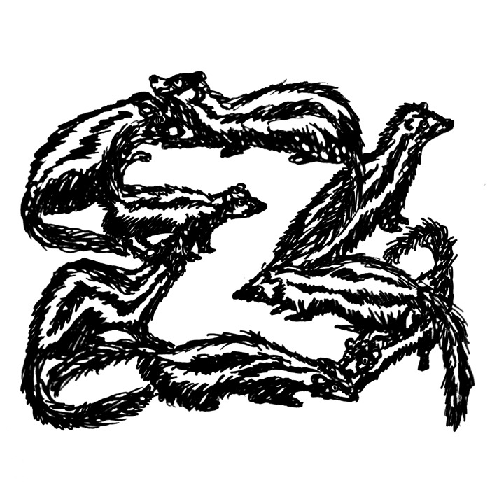 Z For Zorilla, A Striped Polecat That Resembles A Skunk