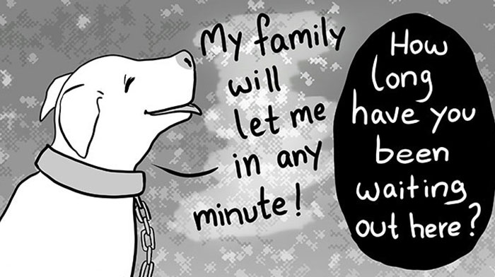 Artist Who Makes People Cry With Her Animal Comics Just Released A New Tragic One About A Freezing Dog