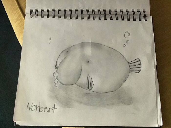 Norbert The Blobfish