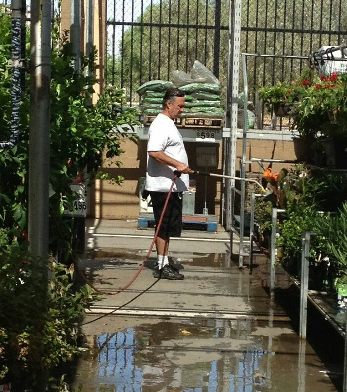 Perdí a mi padre en Walmart, terminé encontrándolo en la sección de jardinería y estaba regando las plantas