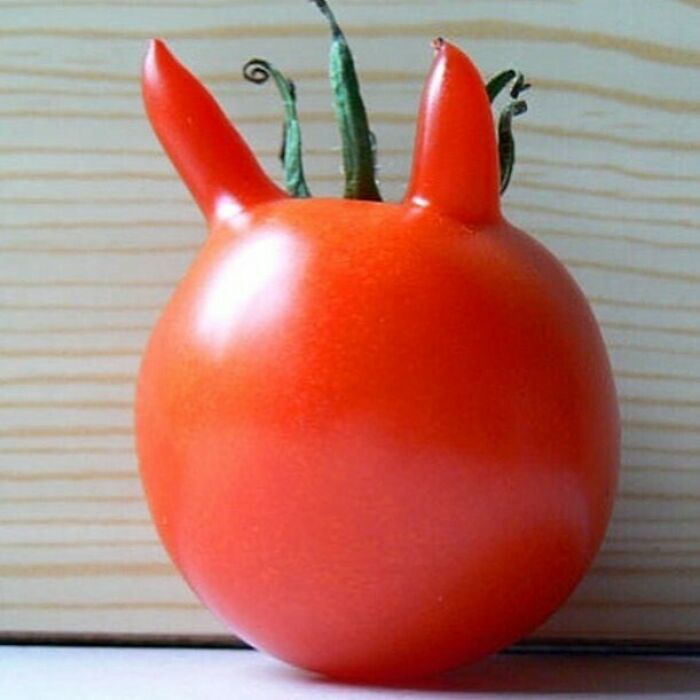 The Devil Is In The "Ugly" Fruit And Veg