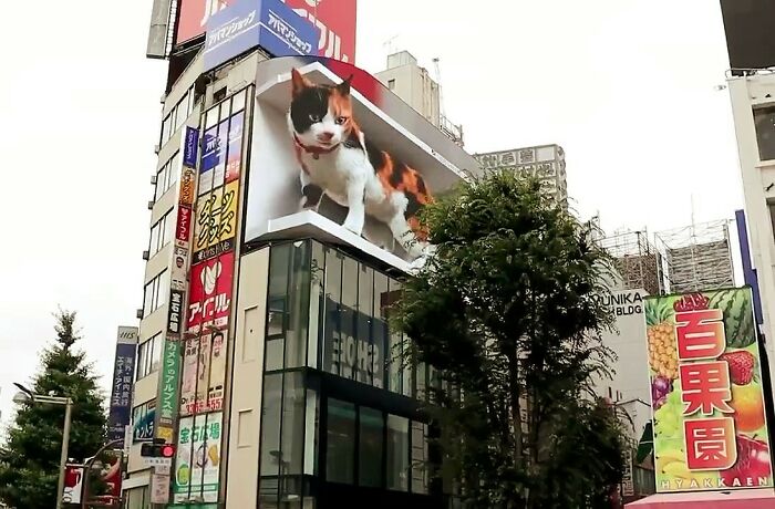 Esta pantalla publicitaria gigante con un gato hiperrealista en 3D cautiva a los viandantes de Tokyo