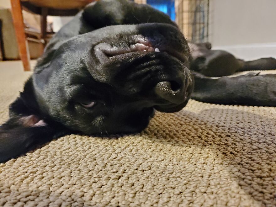 This Is His Upside-Down Evil Smile