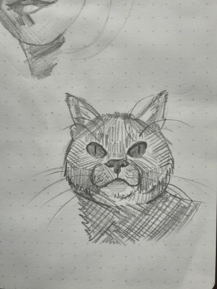 A Sketch Of My Cat Joris :)