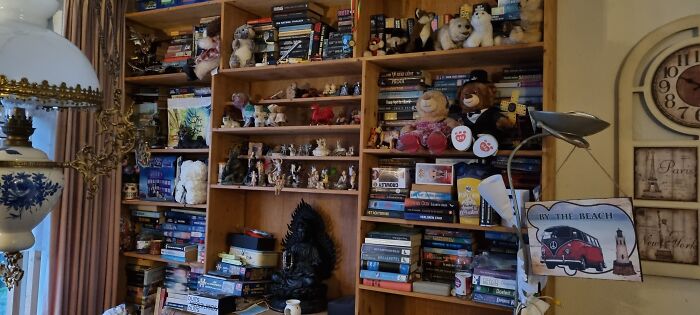 My Bookshelves