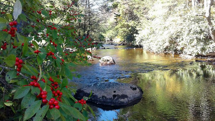 A Warm Summer Day By The Creek In The Pocono Mountains Of Pennsylvania!