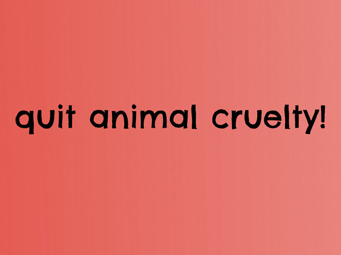 A Lot Of Very Popular Makeup , Cleaning Supplies, And Shampoo Are Actually Tested On Animals