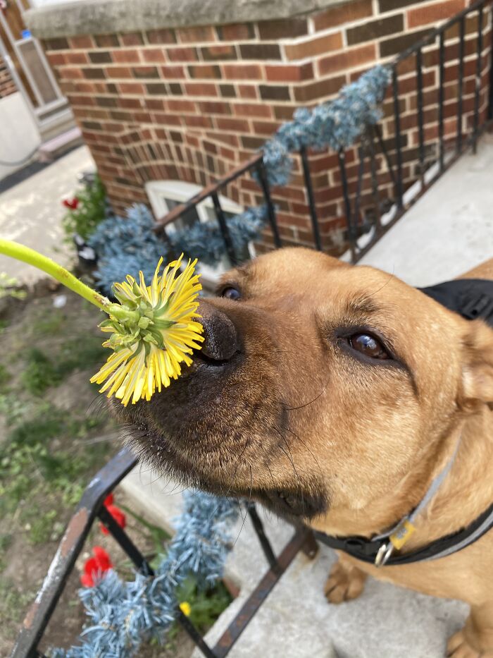 Nyx Says Stop And Smell The Flowers!