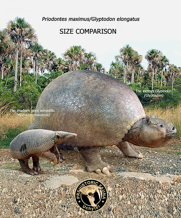 37 Comparisons Of The Sizes Of Prehistoric Animal Ancestors And Their  Modern Relatives By Roman Uchytel | Bored Panda