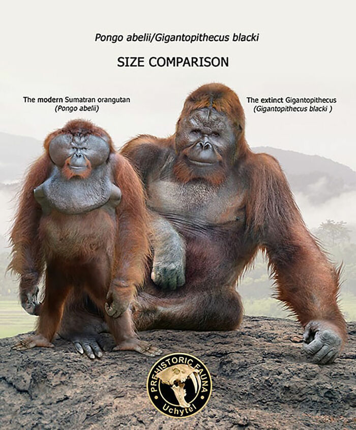 37 Comparisons Of The Sizes Of Prehistoric Animal Ancestors And Their  Modern Relatives By Roman Uchytel | Bored Panda