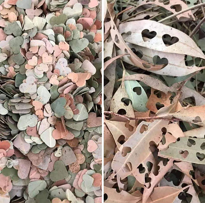 Instead Of Polluting The Planet With Confetti, Hole Punch Leaves! Fully Biodegradable