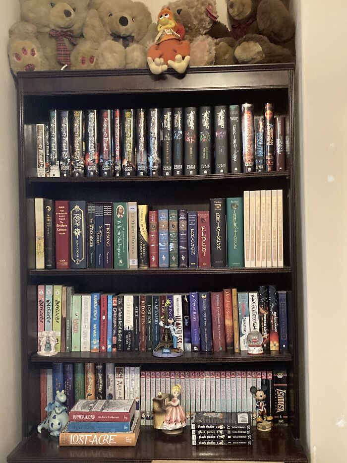 No Such Thing As Too Many Books. Just Too Few Bookcases!