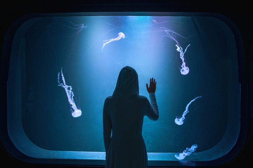 Her First Encounter With Creatures Happened Here. She Was In Awe With Their Beauty And When She Found Out They Were Immortal, She Asked Herself What Time Was Anyway. She Watched The Jellyfish Slowly Drift Away, While Her Mind Wandered Through Unconscious Territories