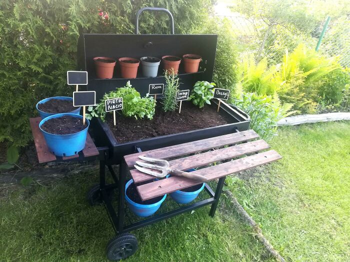I Repurpoused My Old Grill Into A Small Herb Garden! I Hope All The Seeds Grow Soon 