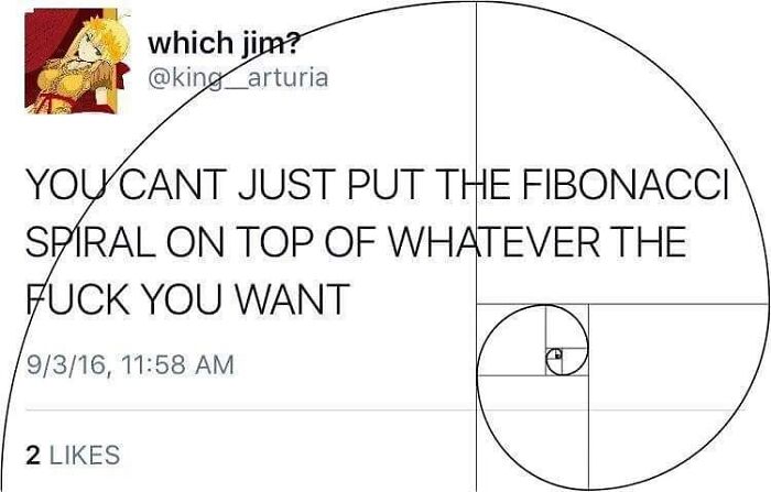 Fibonacci Gets It