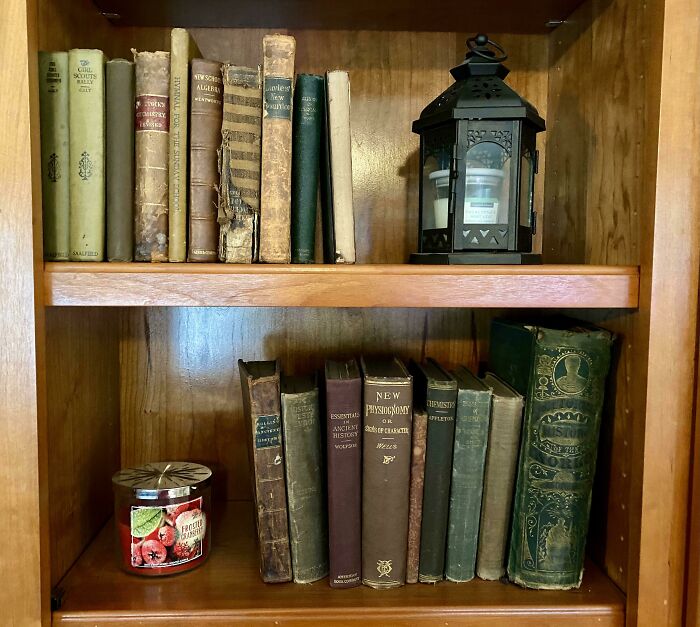 Los libros de texto de mi tatarabuelo de finales de 1800. El más antiguo es de 1860.