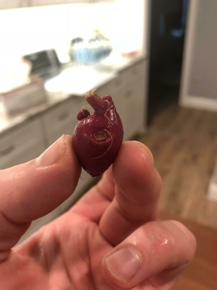 Esta pequeña patata roja parece un corazón anatómico