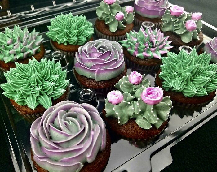 Homemade Succulent Cupcakes