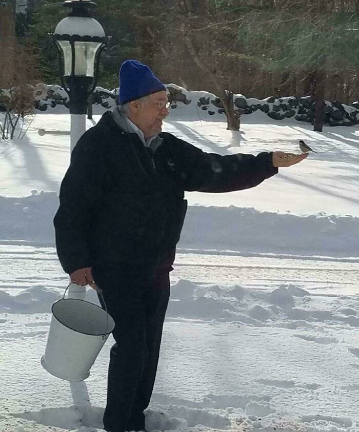 Dad Went Out In The Snow To Feed The Birds, And Made A New Friend! It's Official, He's A Disney Princess Now