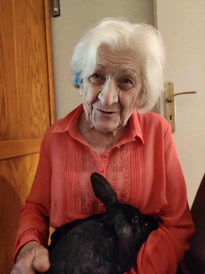 My Grandmother Got A Rabbit To Keep Her Company During Lockdown!