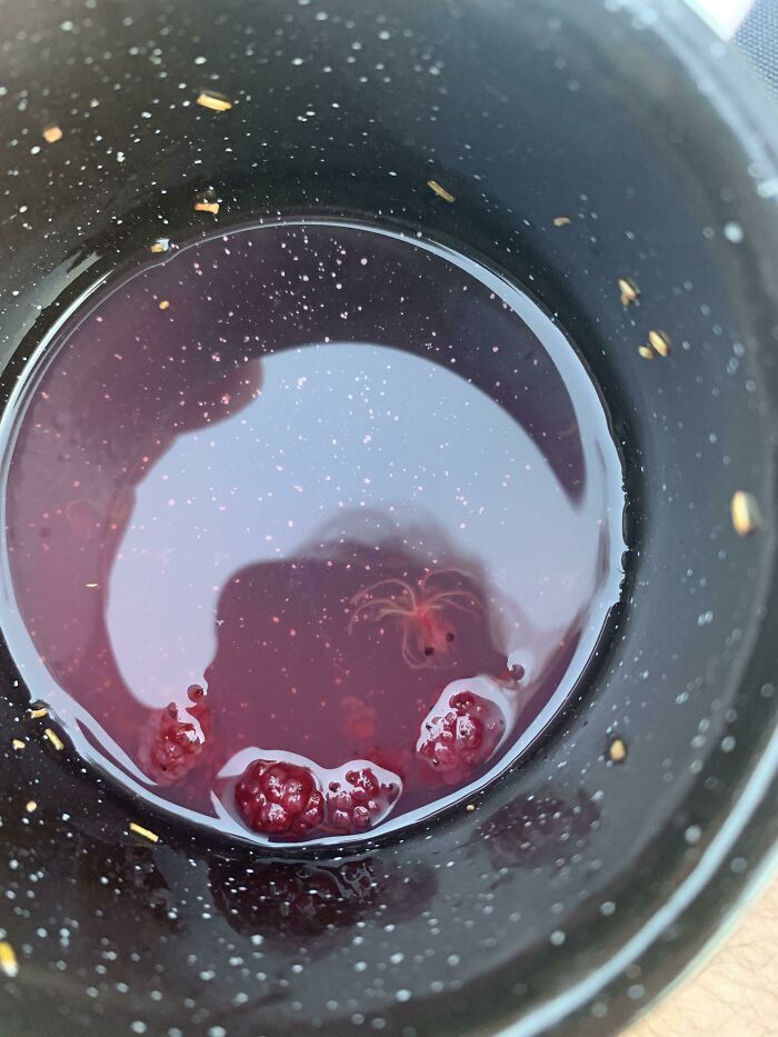 This Berry In My Drink Looks Like A Little Octopus