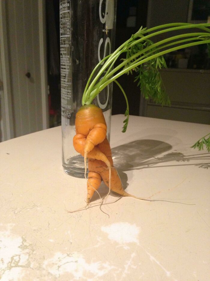 My Carrot Looks Like A Person
