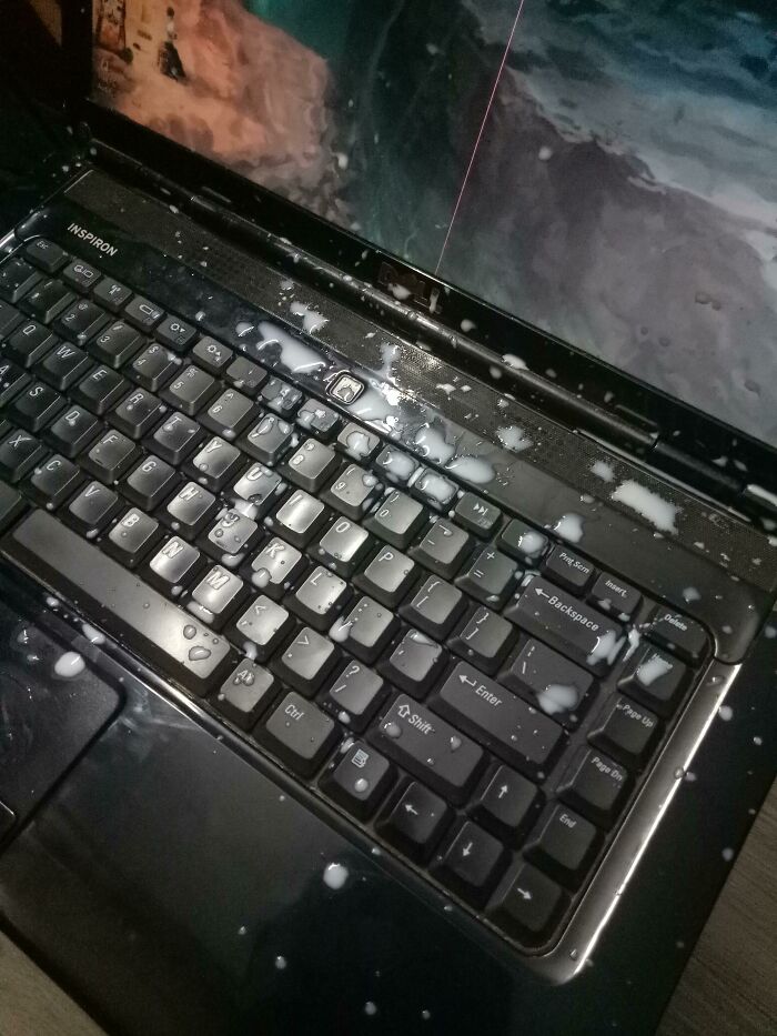 My Lil Bros Sneeze With A Mouth Full Of Milk While Using My Laptop