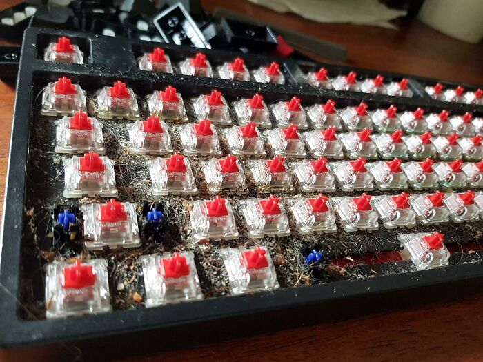 Friendly Reminder To Clean Your Keyboard