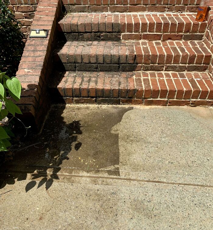 My Husband Thought The Steps Weren’t Dirty. After And Hour Of Work, I Sent Him A Picture Of Exhibit A