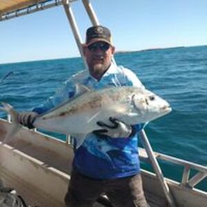 laurie_mailbox avatar