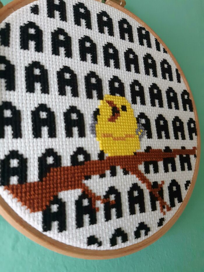 Due To Popular Demand The Screaming Birb Pattern Is Here!