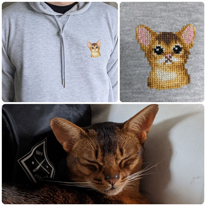 Gift For My BF: His Favourite Buddy On A Hoodie. My First Attempt To Stitch On A Regular Fabric. Pattern By Laselvadesign From Etsy