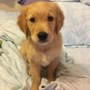 stephaniethomson44 avatar