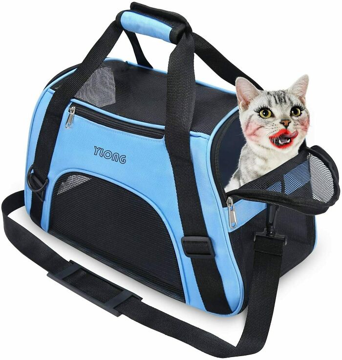 El mejor transportador de gatos para llevar a tu gato sexy