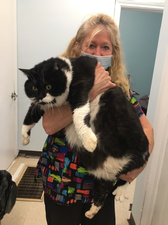 Anyone Missing A Big Boy? This Guy Was Found Alone In The Forest And Is At My Local Humane Society.
